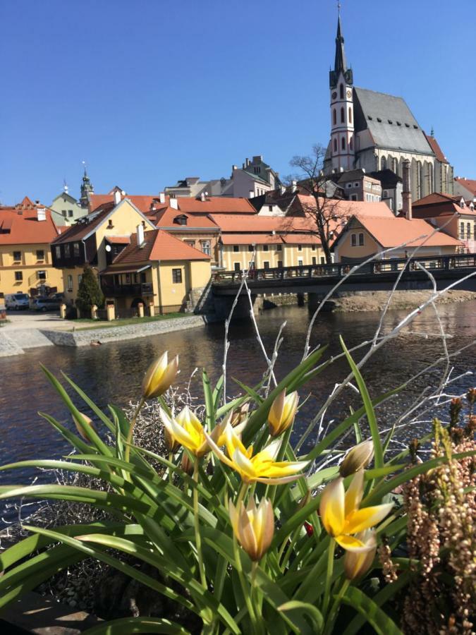Pension Wok Český Krumlov Exterior foto